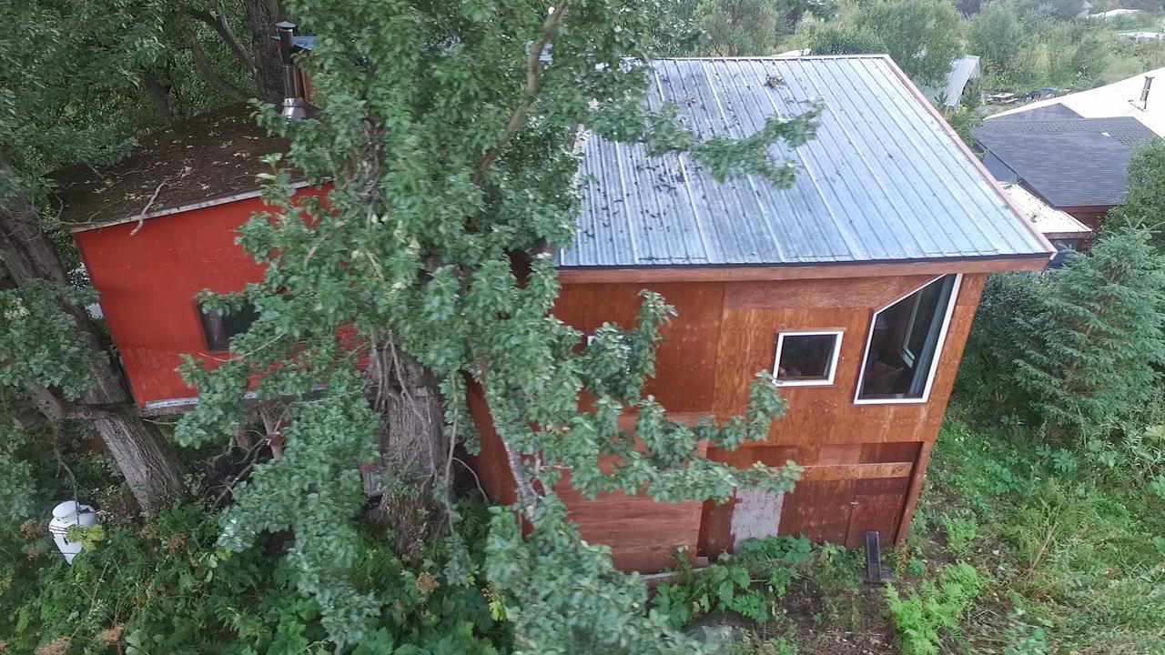 Cottonwood Cabins Fritz Creek Eksteriør bilde